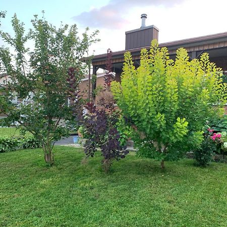 Havre Chez Guylaine Laval Exterior foto